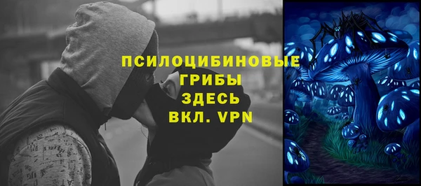 PSILOCYBIN Богородицк