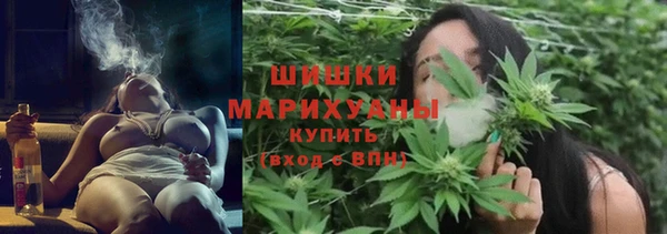 PSILOCYBIN Богородицк