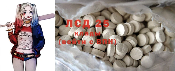 PSILOCYBIN Богородицк