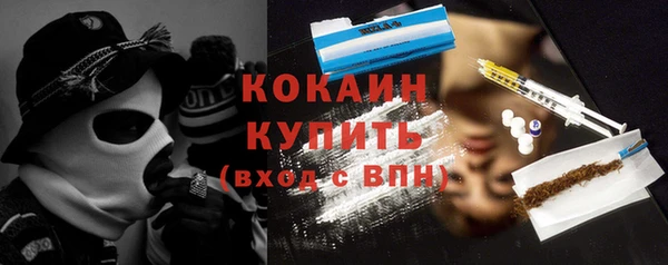 гашиш Богданович