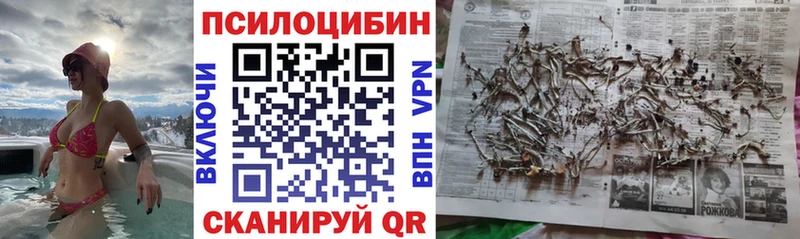 Псилоцибиновые грибы Cubensis  Купить где  Спасск 