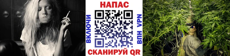 Купить закладки  Спасск  Каннабис SATIVA & INDICA 